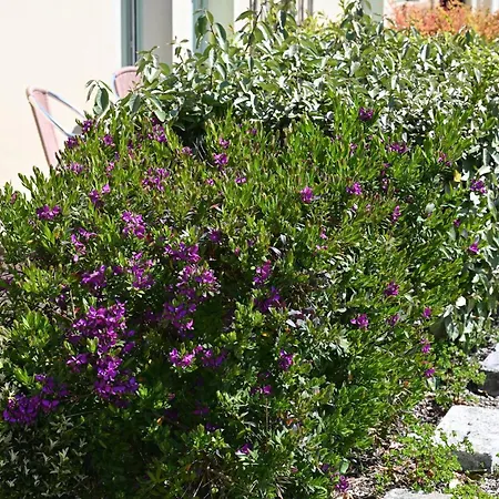 Logis La Demeure Du Perron