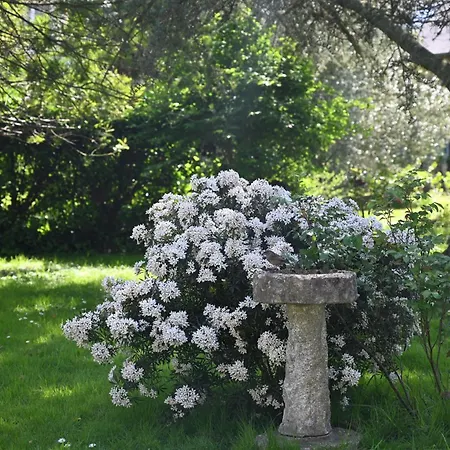 فندق Logis La Demeure Du Perron