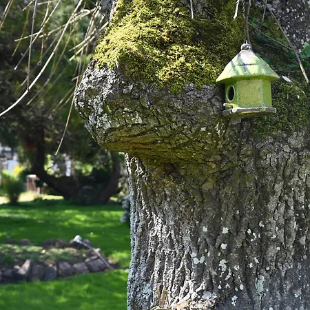 Logis La Demeure Du Perron فندق Quettehou