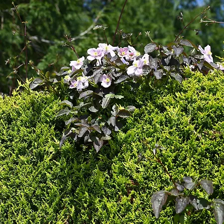 فندق Logis La Demeure Du Perron 3*