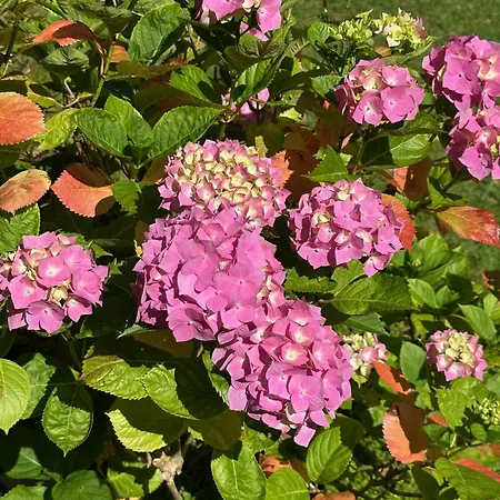 Logis La Demeure Du Perron