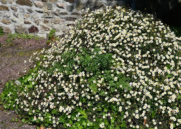 Logis La Demeure Du Perron