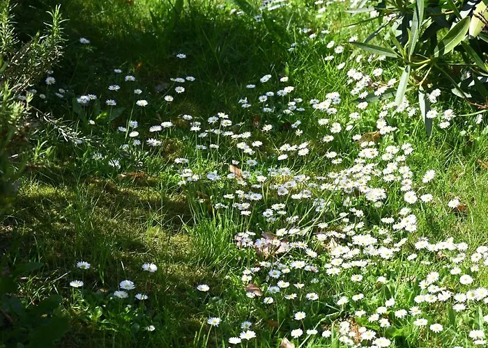 Otel Logis La Demeure Du Perron 3*