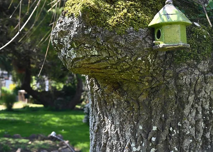Logis La Demeure Du Perron Otel Quettehou