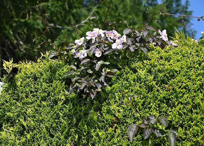 Otel Logis La Demeure Du Perron 3*