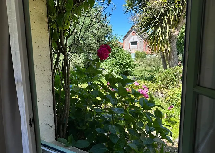 Logis La Demeure Du Perron Otel Quettehou