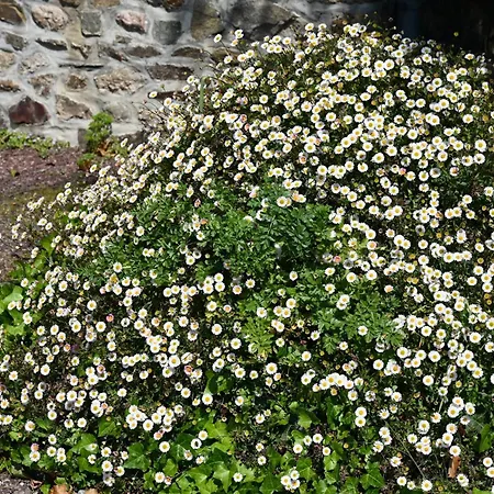 Logis La Demeure Du Perron