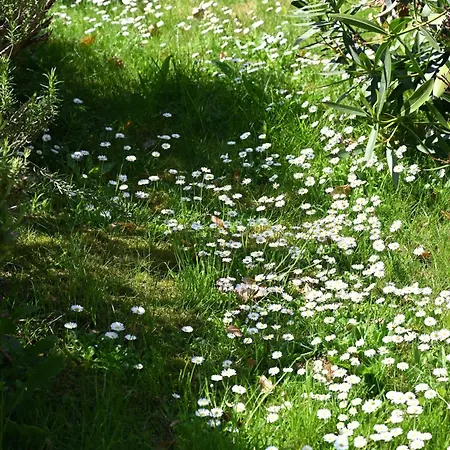 Hotel Logis La Demeure Du Perron 3*