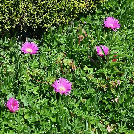 Hotel Logis La Demeure Du Perron 3*