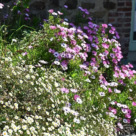 Hotel Logis La Demeure Du Perron Quettehou