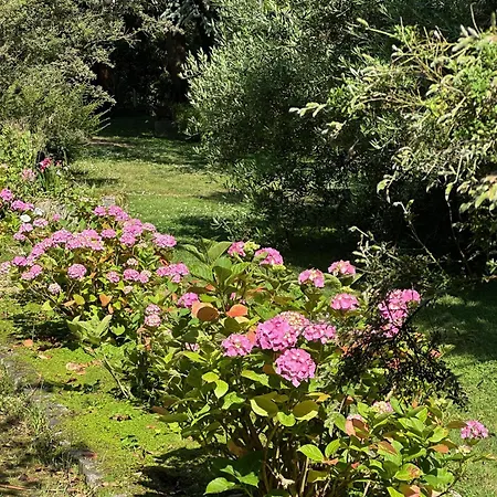 Logis La Demeure Du Perron Quettehou