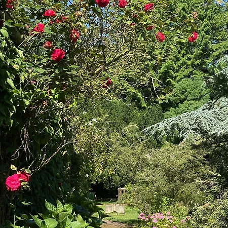 Logis La Demeure Du Perron 3* Quettehou