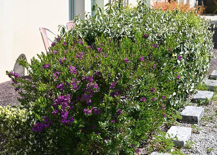 Logis La Demeure Du Perron