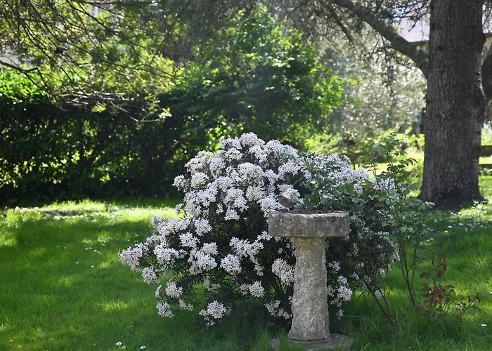 Hotel Logis La Demeure Du Perron