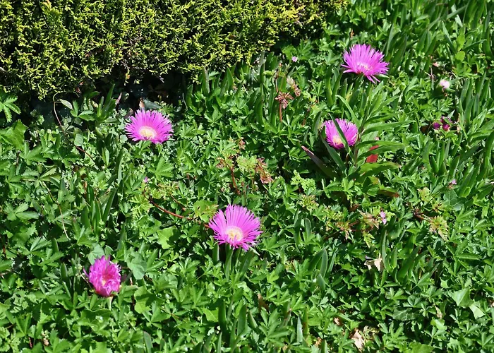 Hotel Logis La Demeure Du Perron 3*