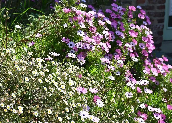 Hotel Logis La Demeure Du Perron Quettehou
