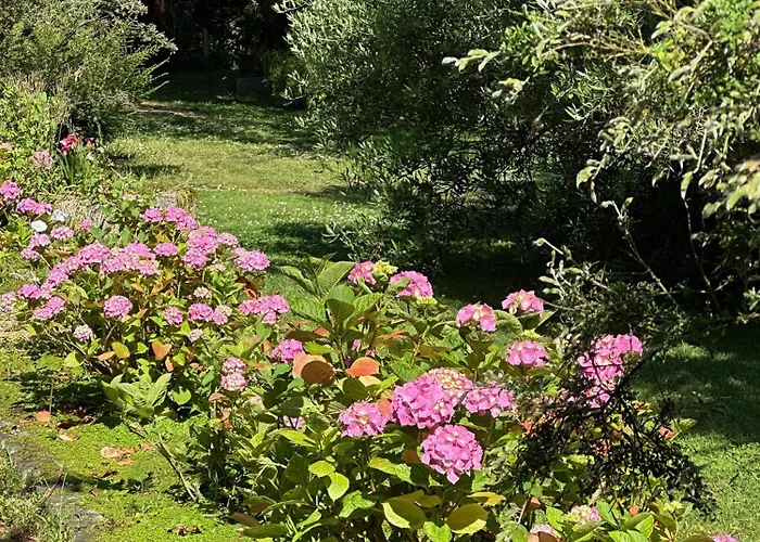Logis La Demeure Du Perron Quettehou