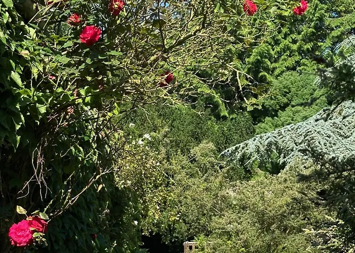 Logis La Demeure Du Perron 3* Quettehou