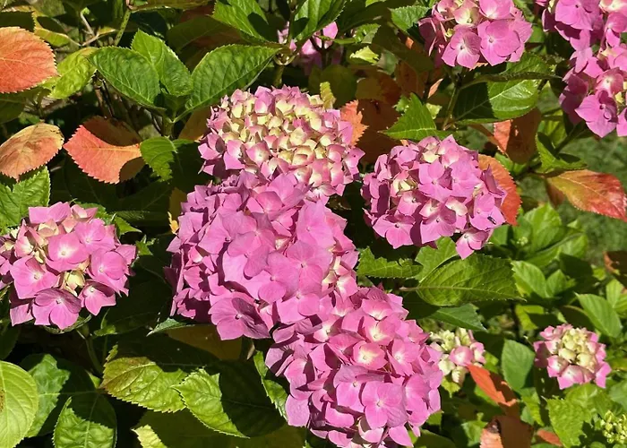 Logis La Demeure Du Perron